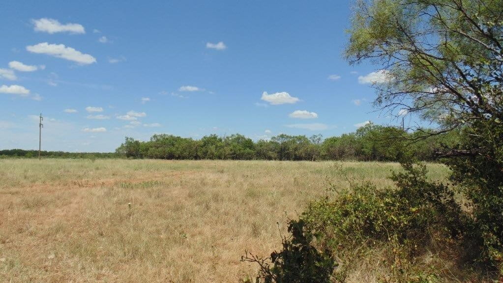 85 acres in Taylor County