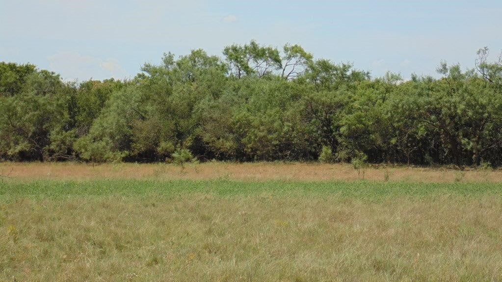 85 acres in Taylor County