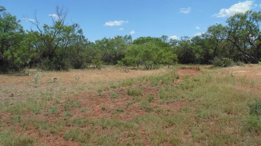 85 acres in Taylor County