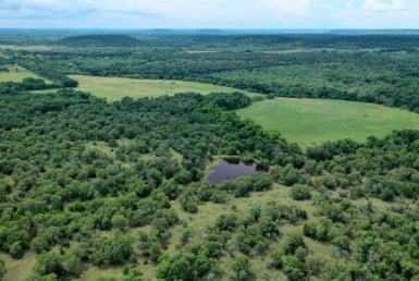 274 acres in Erath County