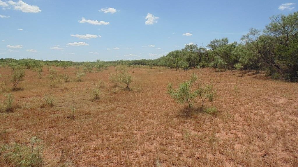 85 acres in Taylor County