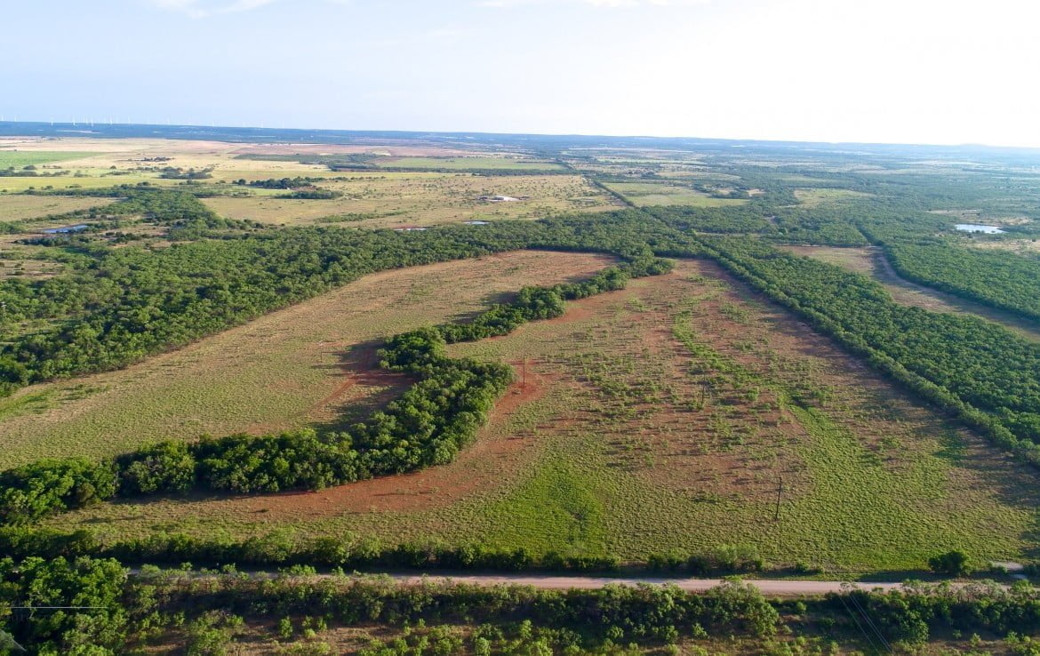 85 acres in Taylor County