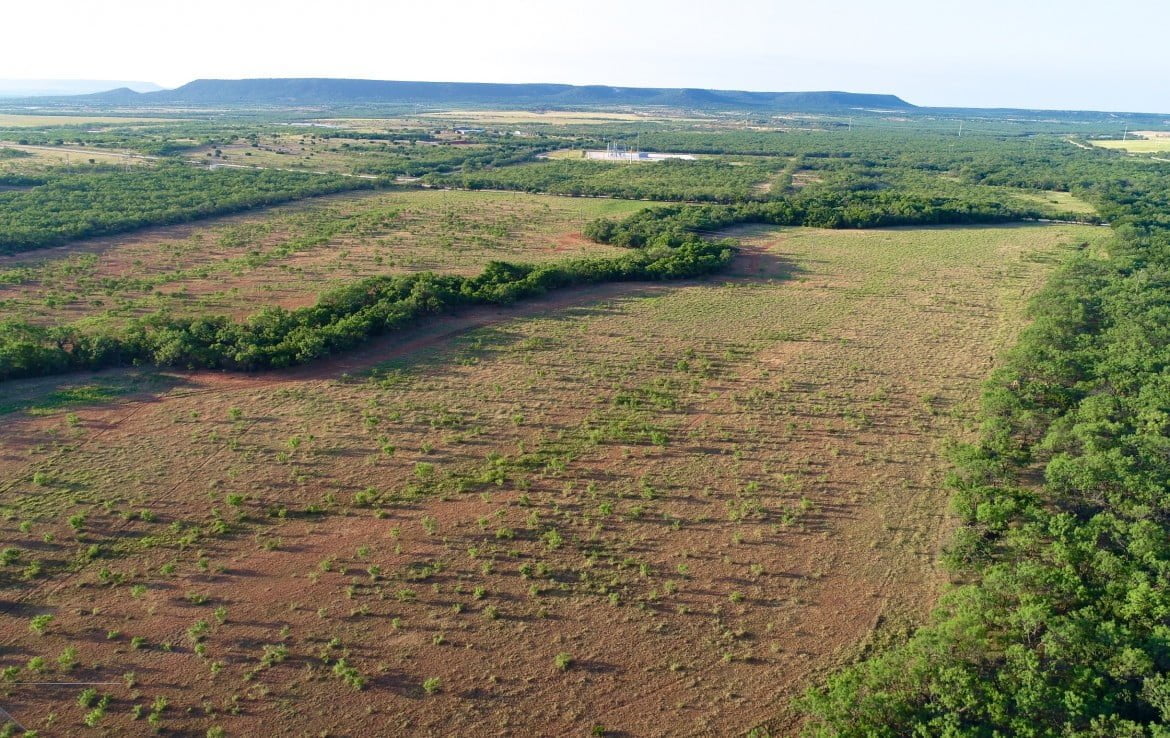 85 acres in Taylor County