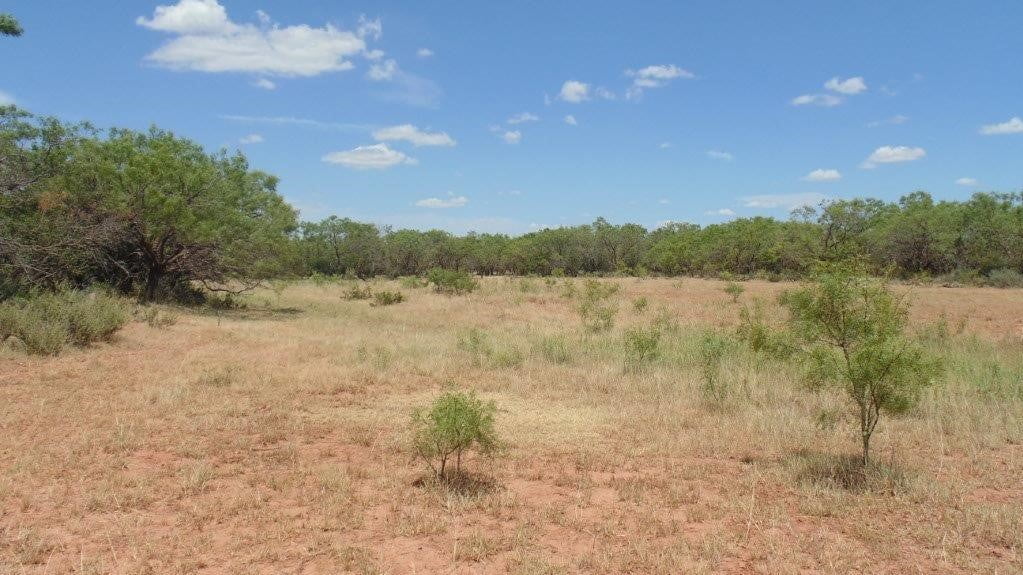 85 acres in Taylor County