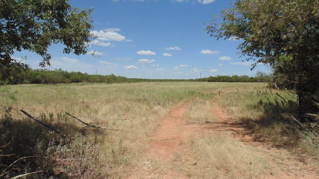 85 acres in Taylor County