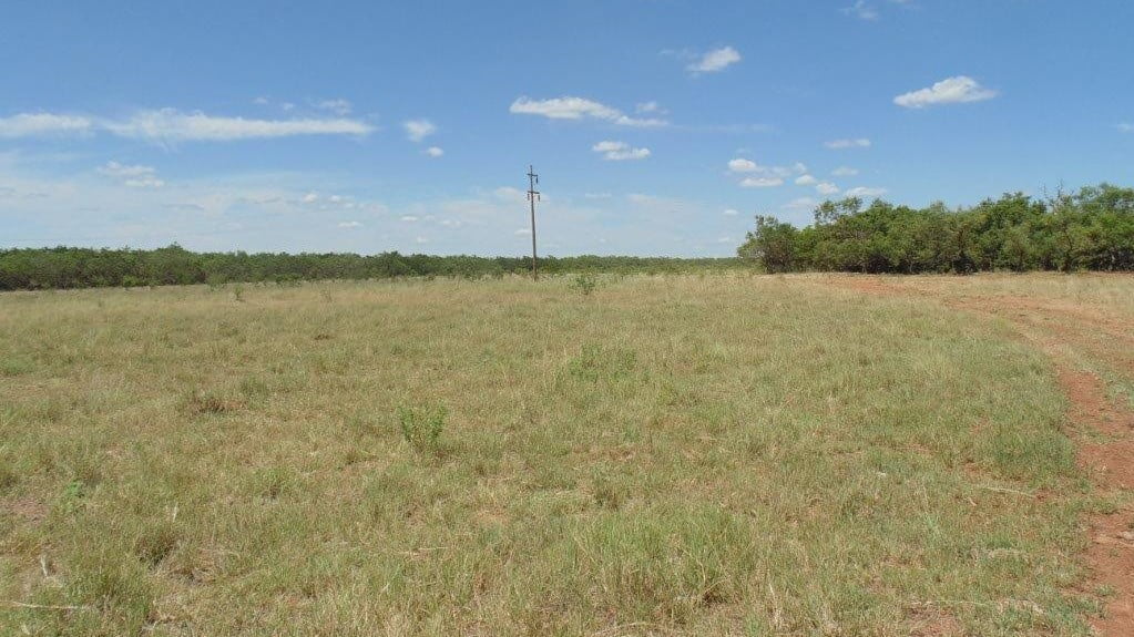 85 acres in Taylor County