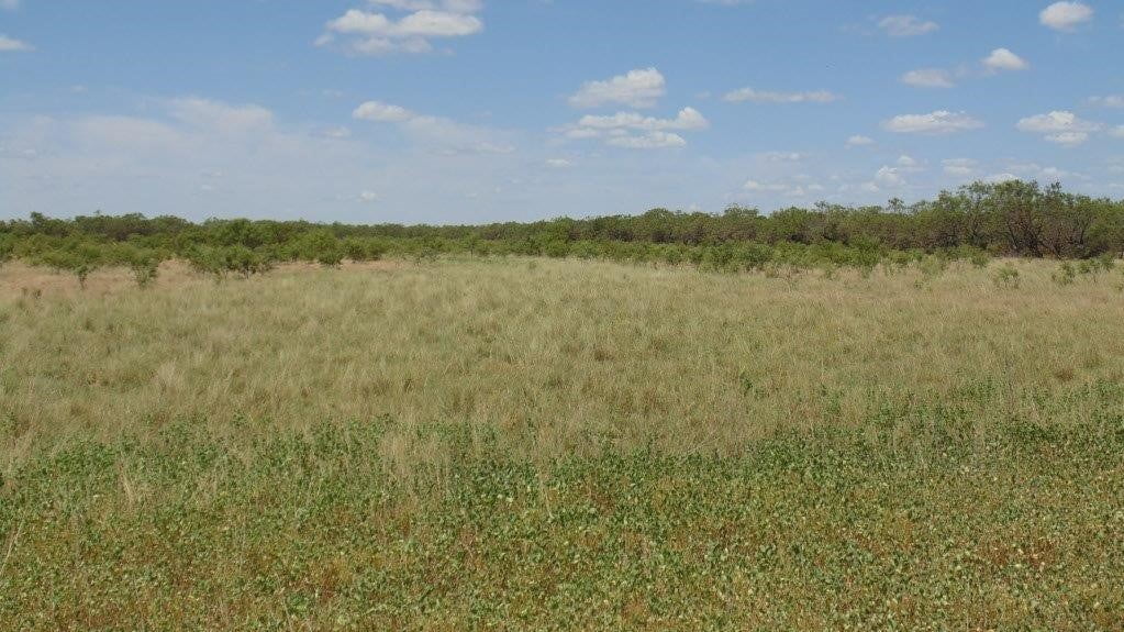 85 acres in Taylor County