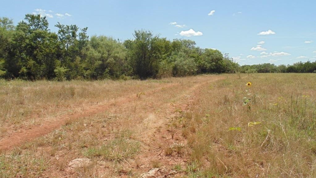 85 acres in Taylor County