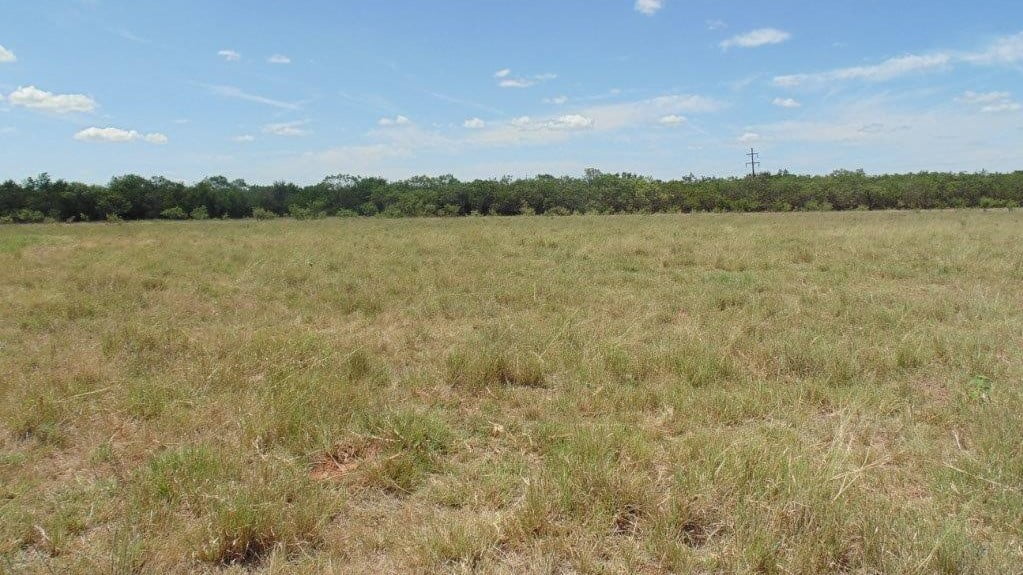 85 acres in Taylor County