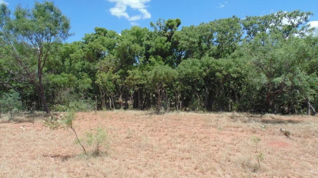 85 acres in Taylor County
