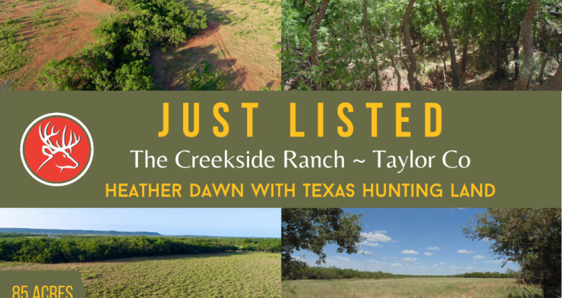 85 acres in Taylor County