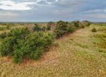 334 acres in King and Cottle County