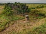 334 acres in King and Cottle County