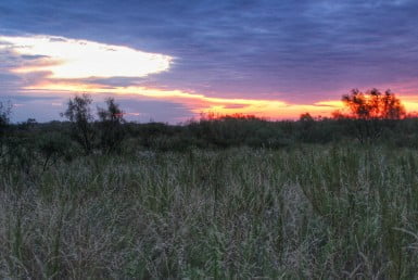 326 acres in King County