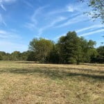 226 acres in Red River County
