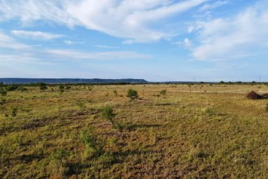 11 acres in Taylor County - Tract 5