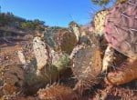 573 acres in Knox County