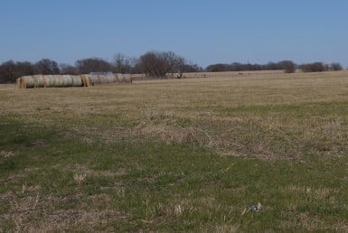 80 acres in Lamar County