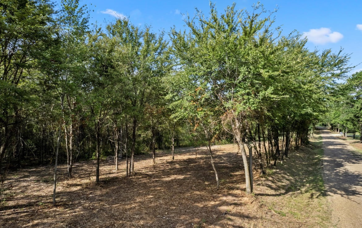 3 acres in Titus County