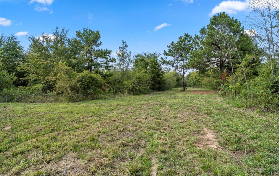 3 acres in Titus County