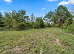 3 acres in Titus County