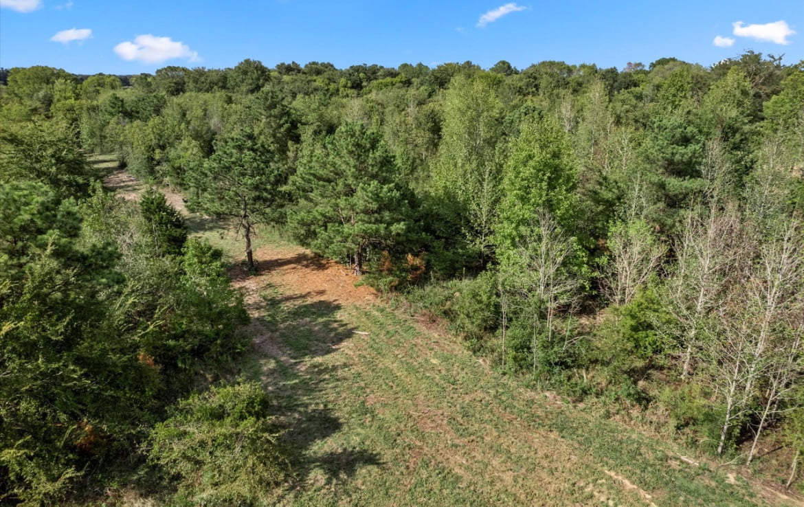 3 acres in Titus County