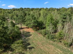 3 acres in Titus County