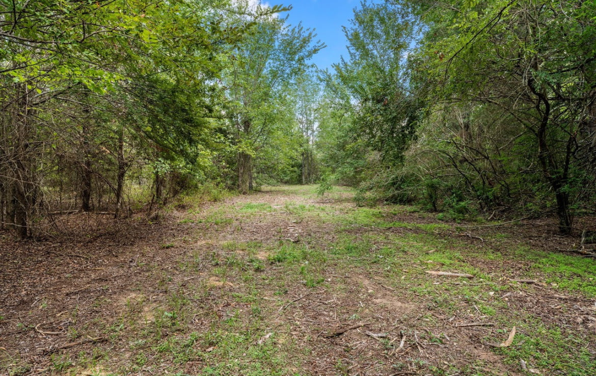 3 acres in Titus County