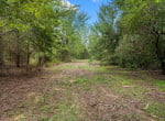 3 acres in Titus County