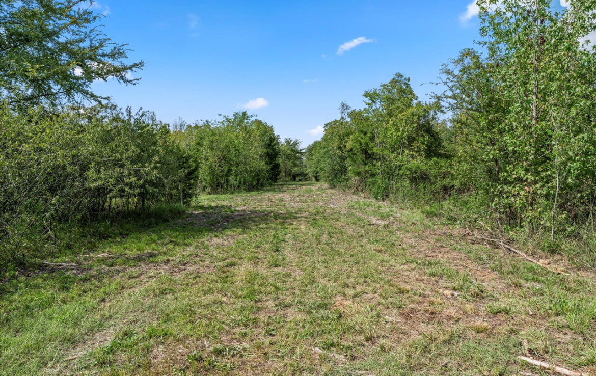 3 acres in Titus County