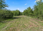 3 acres in Titus County