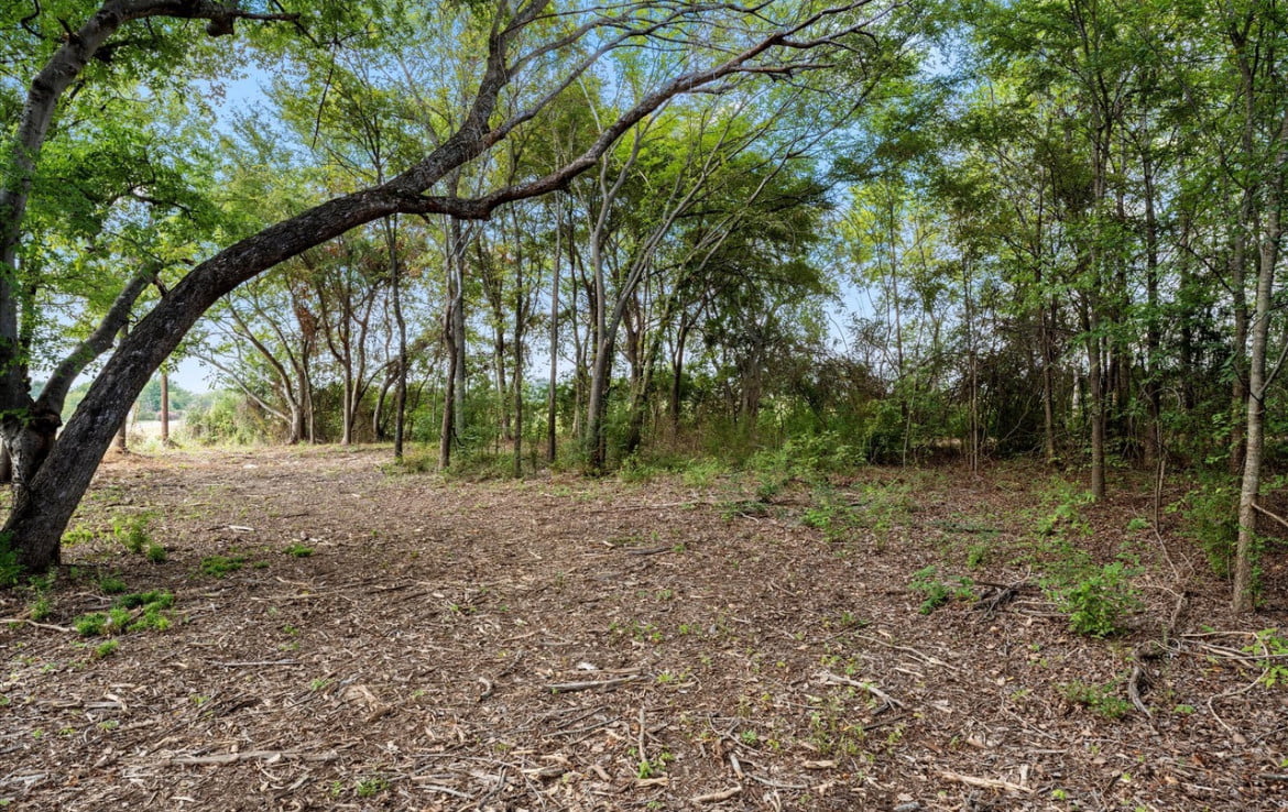 3 acres in Titus County