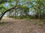 3 acres in Titus County
