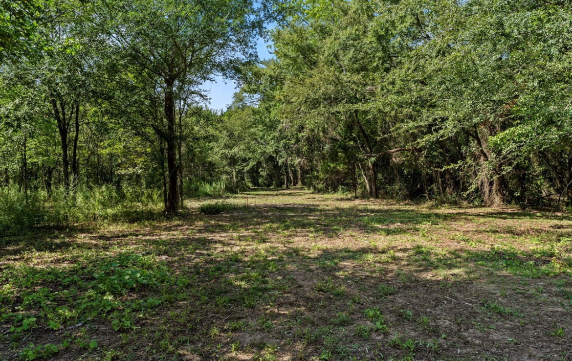 3 acres in Titus County