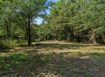 3 acres in Titus County
