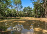 3 acres in Titus County