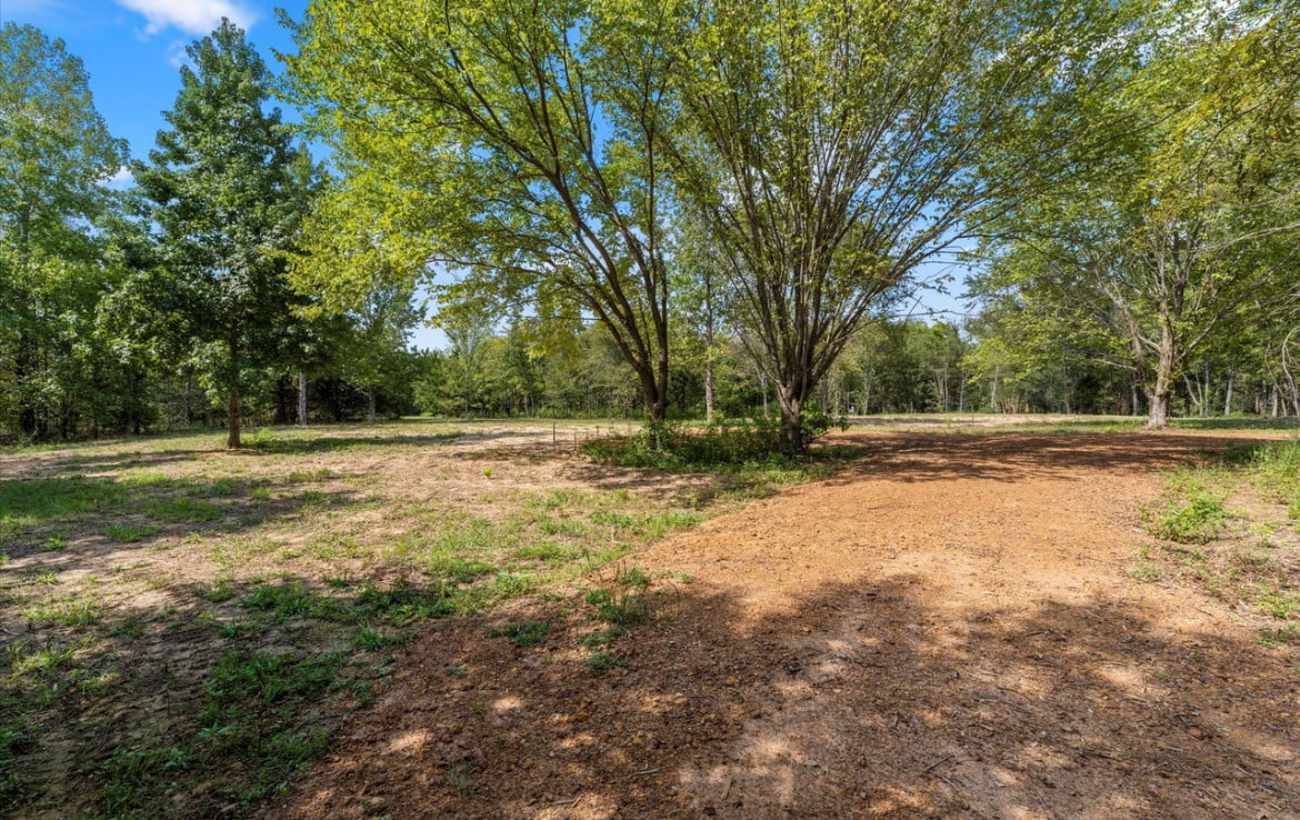 3 acres in Titus County