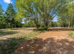 3 acres in Titus County
