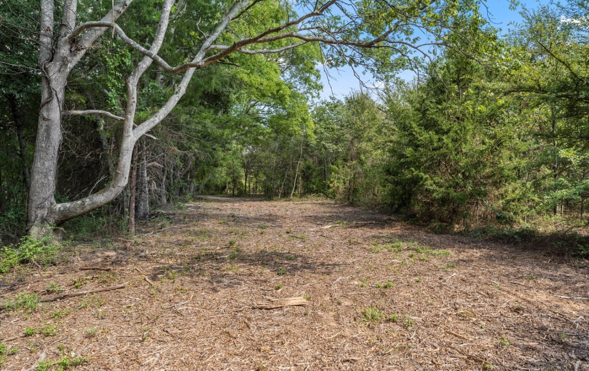 3 acres in Titus County