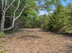 3 acres in Titus County