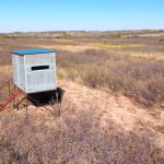 580 acres in Hardeman County