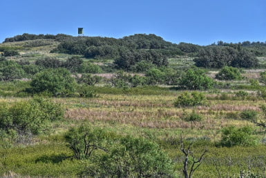 480 acres in Cottle County