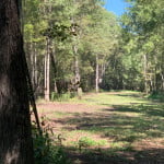 65 acres in Red River County