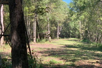 65 acres in Red River County