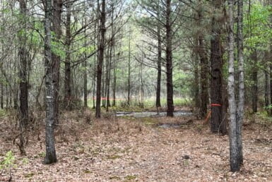 18 acres in Bowie County