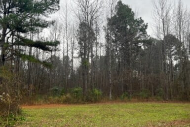 5 acres in Cass County