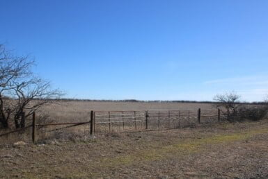 23 acres in Coleman County