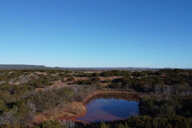 305 acres in Taylor and Runnels County