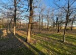 11 acres in Titus County