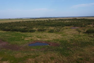 39 acres in Taylor County